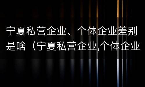 宁夏私营企业、个体企业差别是啥（宁夏私营企业,个体企业差别是啥样的）