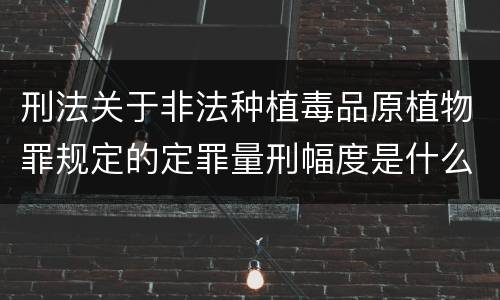 刑法关于非法种植毒品原植物罪规定的定罪量刑幅度是什么