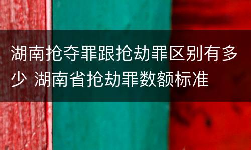 湖南抢夺罪跟抢劫罪区别有多少 湖南省抢劫罪数额标准