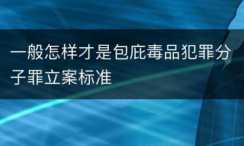 一般怎样才是包庇毒品犯罪分子罪立案标准