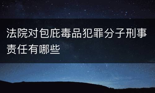 法院对包庇毒品犯罪分子刑事责任有哪些