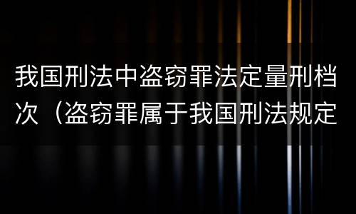 我国刑法中盗窃罪法定量刑档次（盗窃罪属于我国刑法规定的什么类犯罪）