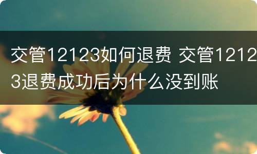 交管12123如何退费 交管12123退费成功后为什么没到账