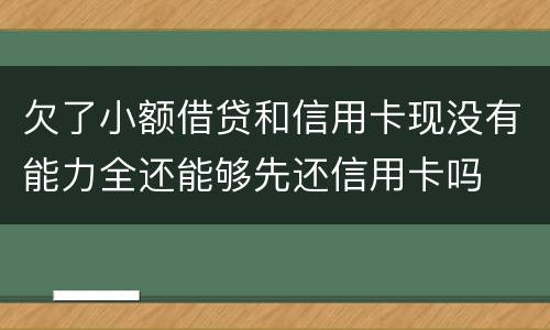 欠了小额借贷和信用卡现没有能力全还能够先还信用卡吗