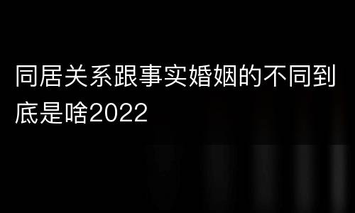 同居关系跟事实婚姻的不同到底是啥2022