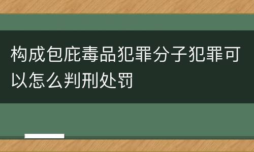 构成包庇毒品犯罪分子犯罪可以怎么判刑处罚