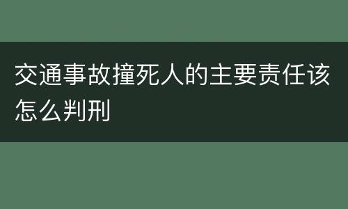 交通事故撞死人的主要责任该怎么判刑