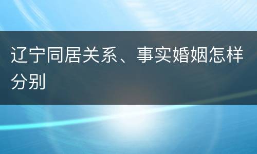 辽宁同居关系、事实婚姻怎样分别