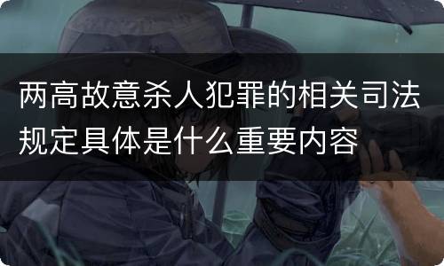 两高故意杀人犯罪的相关司法规定具体是什么重要内容