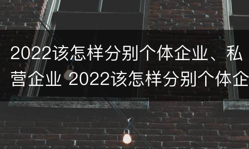 2022该怎样分别个体企业、私营企业 2022该怎样分别个体企业,私营企业呢