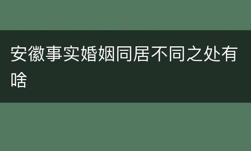 安徽事实婚姻同居不同之处有啥