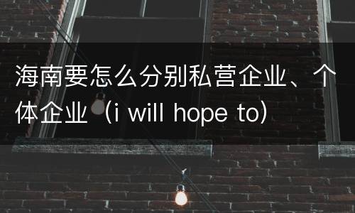 海南要怎么分别私营企业、个体企业（i will hope to）