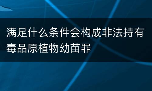 满足什么条件会构成非法持有毒品原植物幼苗罪