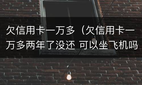 欠信用卡一万多（欠信用卡一万多两年了没还 可以坐飞机吗）