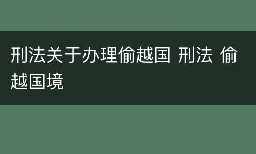 刑法关于办理偷越国 刑法 偷越国境