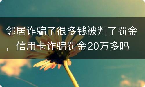 邻居诈骗了很多钱被判了罚金，信用卡诈骗罚金20万多吗