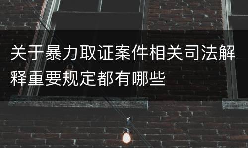 关于暴力取证案件相关司法解释重要规定都有哪些