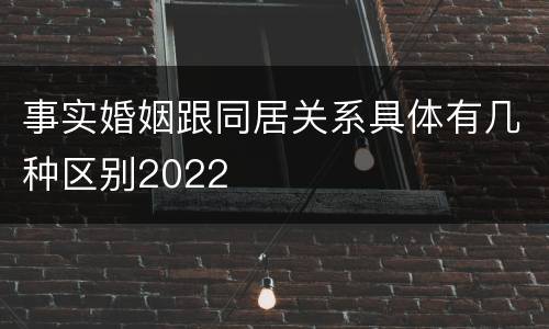 事实婚姻跟同居关系具体有几种区别2022