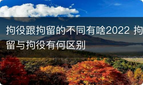 拘役跟拘留的不同有啥2022 拘留与拘役有何区别