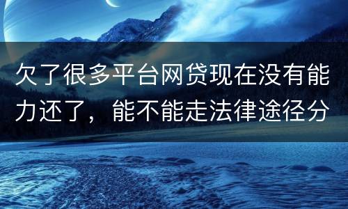 欠了很多平台网贷现在没有能力还了，能不能走法律途径分期