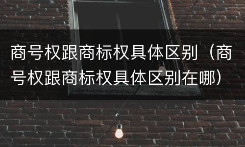 商号权跟商标权具体区别（商号权跟商标权具体区别在哪）