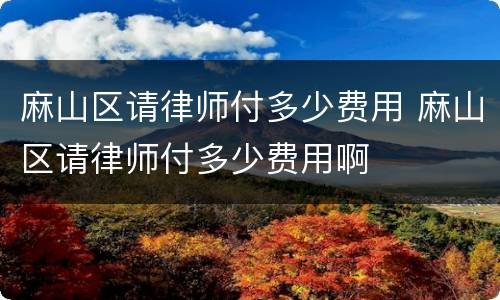 麻山区请律师付多少费用 麻山区请律师付多少费用啊