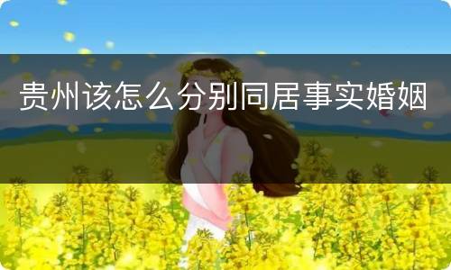 贵州该怎么分别同居事实婚姻