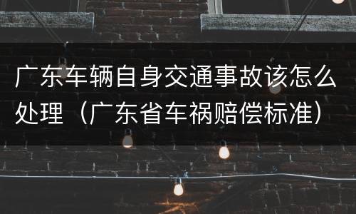 广东车辆自身交通事故该怎么处理（广东省车祸赔偿标准）