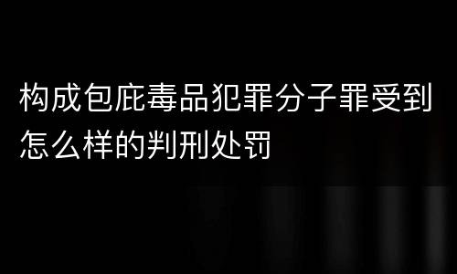 构成包庇毒品犯罪分子罪受到怎么样的判刑处罚