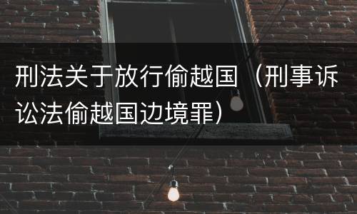 刑法关于放行偷越国（刑事诉讼法偷越国边境罪）