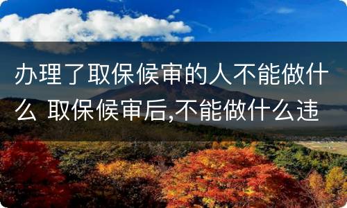 办理了取保候审的人不能做什么 取保候审后,不能做什么违法的事情