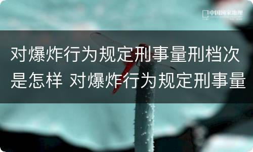 对爆炸行为规定刑事量刑档次是怎样 对爆炸行为规定刑事量刑档次是怎样确定的