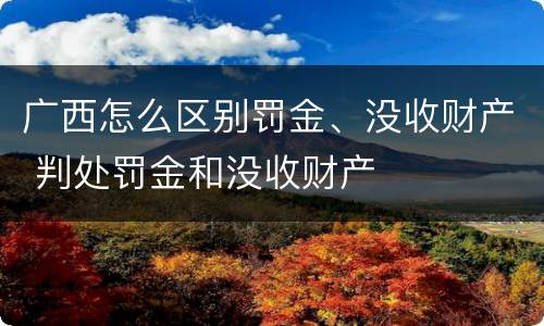 广西怎么区别罚金、没收财产 判处罚金和没收财产