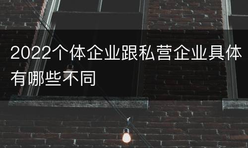 2022个体企业跟私营企业具体有哪些不同