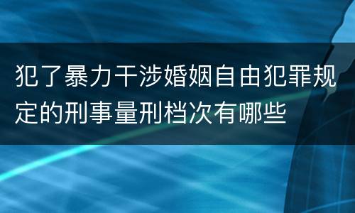 犯了暴力干涉婚姻自由犯罪规定的刑事量刑档次有哪些