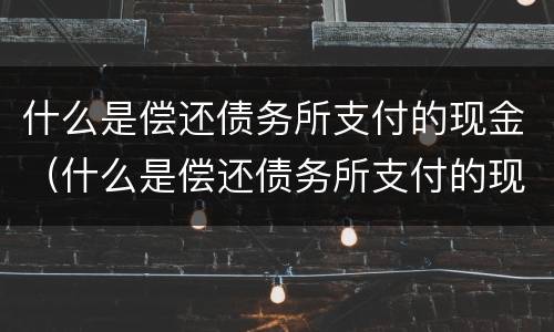 什么是偿还债务所支付的现金（什么是偿还债务所支付的现金价值）