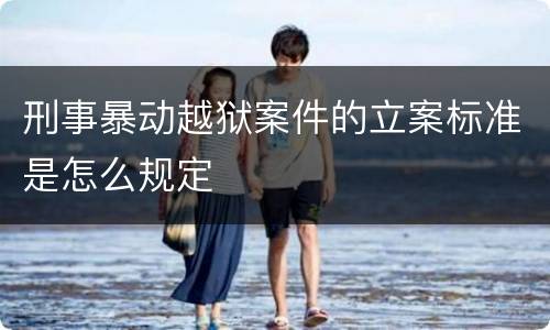 刑事暴动越狱案件的立案标准是怎么规定