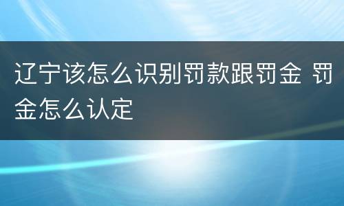 辽宁该怎么识别罚款跟罚金 罚金怎么认定