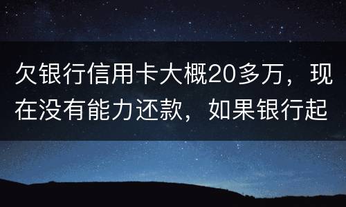 欠银行信用卡大概20多万，现在没有能力还款，如果银行起诉，法院会怎么判决，如果强