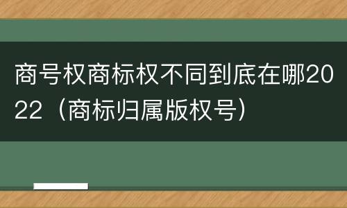 商号权商标权不同到底在哪2022（商标归属版权号）