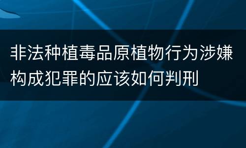 非法种植毒品原植物行为涉嫌构成犯罪的应该如何判刑