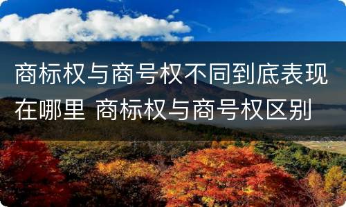 商标权与商号权不同到底表现在哪里 商标权与商号权区别