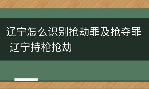 辽宁怎么识别抢劫罪及抢夺罪 辽宁持枪抢劫