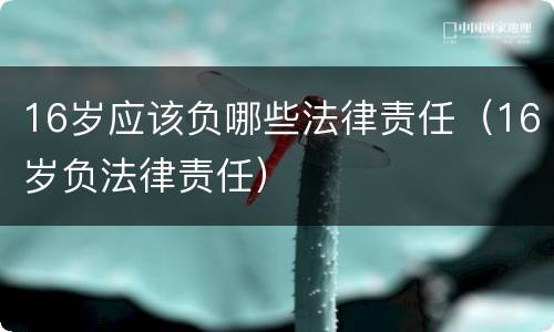 16岁应该负哪些法律责任（16岁负法律责任）