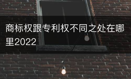 商标权跟专利权不同之处在哪里2022