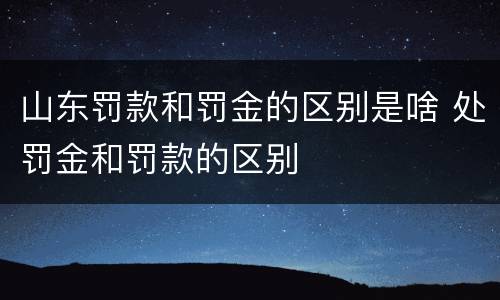 山东罚款和罚金的区别是啥 处罚金和罚款的区别