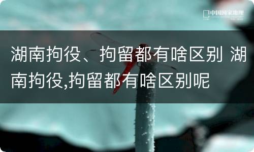 湖南拘役、拘留都有啥区别 湖南拘役,拘留都有啥区别呢