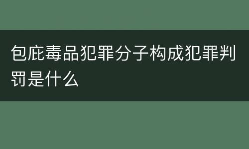 包庇毒品犯罪分子构成犯罪判罚是什么