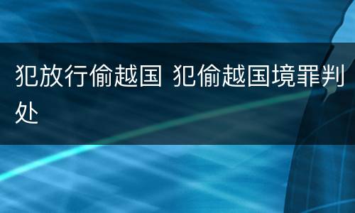 犯放行偷越国 犯偷越国境罪判处