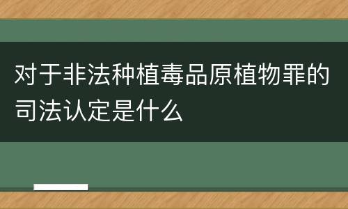 对于非法种植毒品原植物罪的司法认定是什么